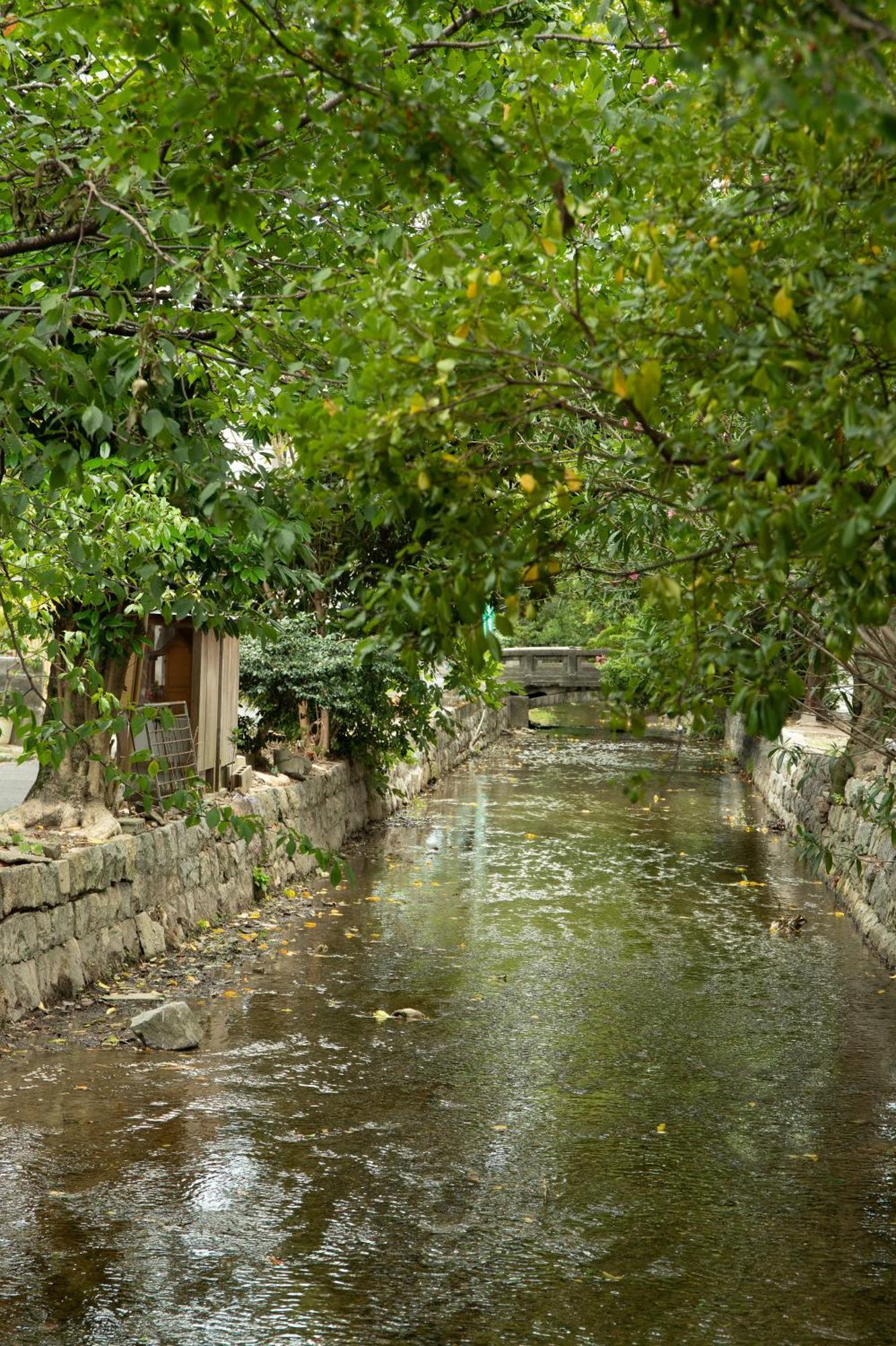 初音 * 京都市