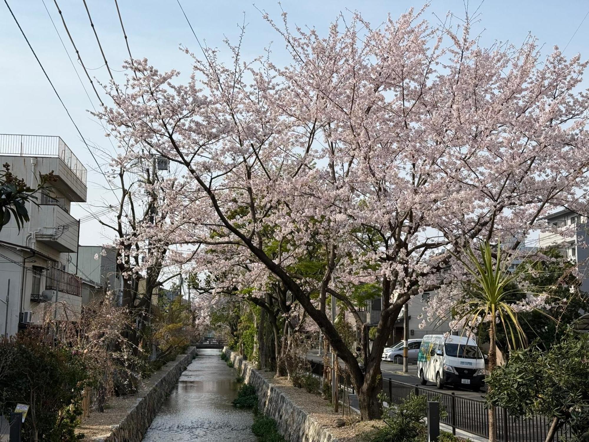 民宿 初音 京都
