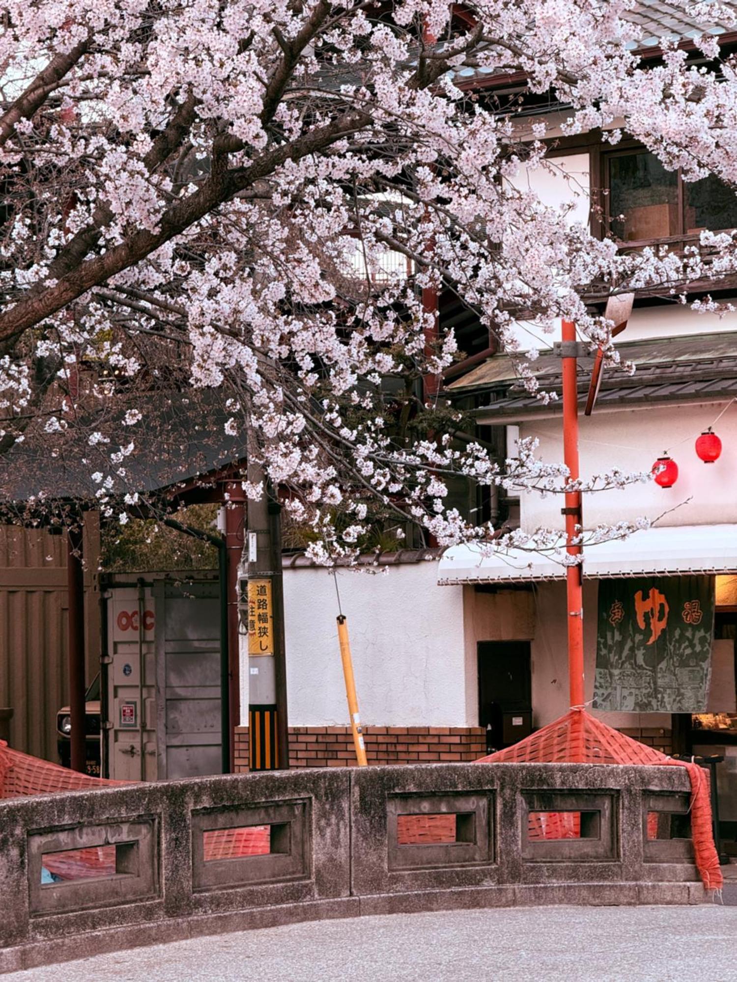 民宿 初音